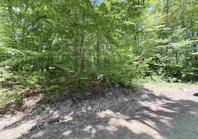 Homes for sale in Barrington, NH | 00 Long Shores Dr, Barrington, NH 03825 | MLS# 5093414