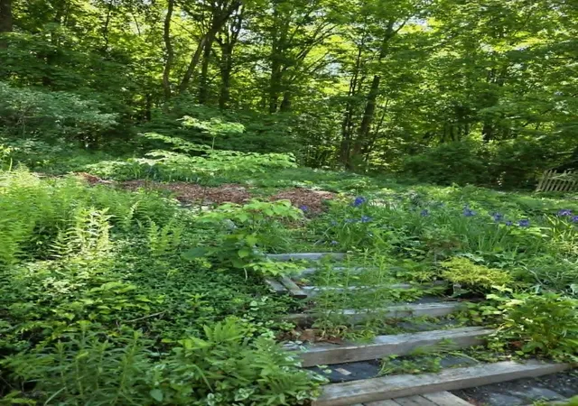 Photo 4 of Single family home for sale at 65 Cedar St, Brattleboro, VT 05301 | MLS# 5093467 | Listing updated on 2026-06-20