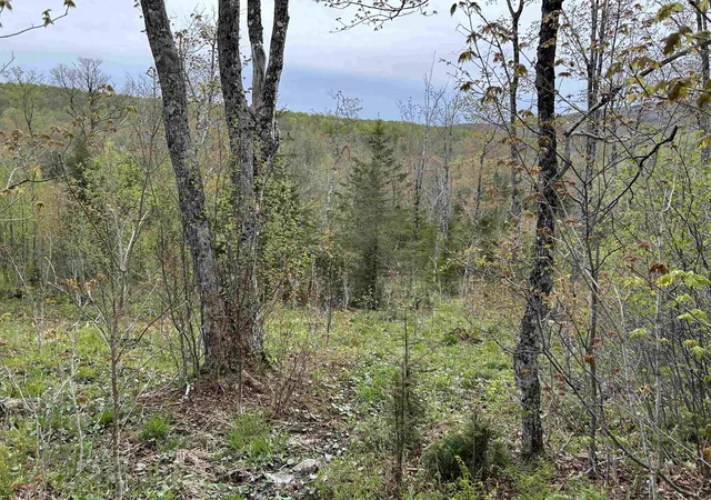2nd image of Mapb2lot16 Deadwater Rd, Stewartstown, NH 03597 | MLS# 5093519