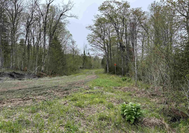 3rd image of Mapb2Lot16 Deadwater Rd, Stewartstown, NH 03597 | MLS# 5093519