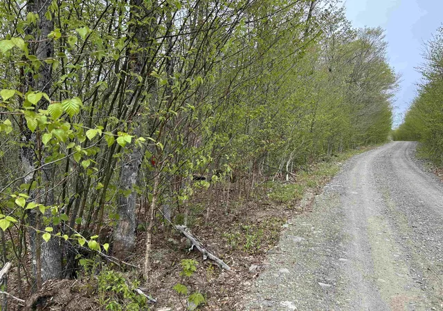 32nd image of Mapb2lot16 Deadwater Rd, Stewartstown, NH 03597 | MLS# 5093519