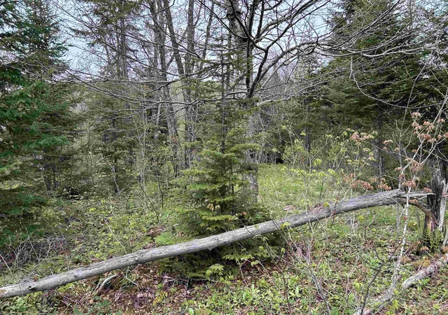 4th image of Mapb2Lot16 Deadwater Rd, Stewartstown, NH 03597 | MLS# 5093519
