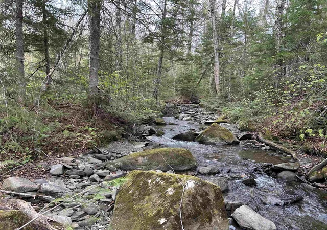 5th image of Mapb2Lot16 Deadwater Rd, Stewartstown, NH 03597 | MLS# 5093519