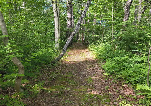 Homes for sale in Newport, NH | 638 John Stark Hwy, Newport, NH 03773 | MLS# 5093616