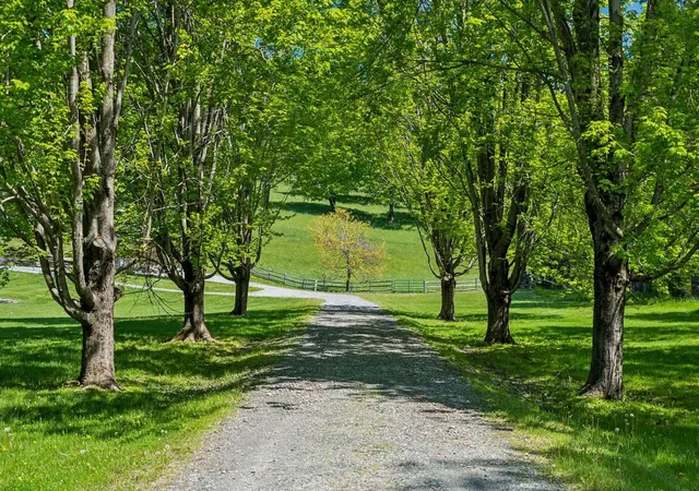 3rd image of 699 Spear Cemetery Rd, Reading, VT 05062 | MLS# 5093678
