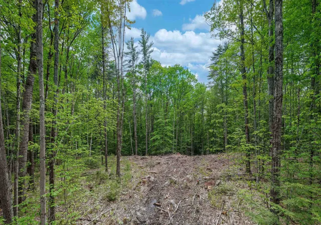 Homes for sale in Meredith, NH | Lot 1 Winona Rd, Meredith, NH 03253 | MLS# 5093680