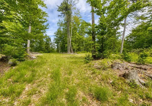 59th image of 160 Browns Ridge Rd, Ossipee, NH 03864 | MLS# 5093704