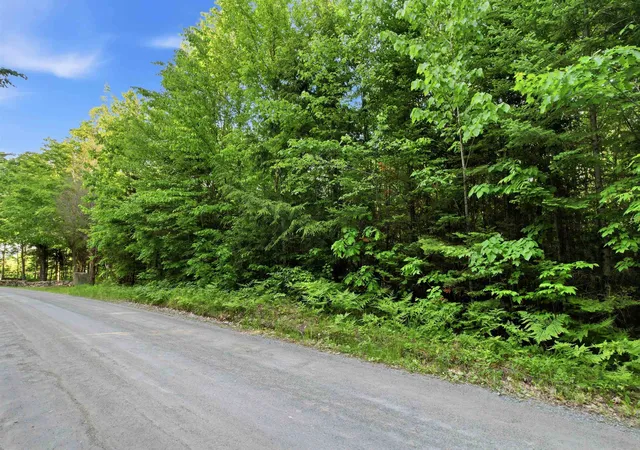 Homes for sale in Bath, NH | 00 Porter Rd, Bath, NH 03740 | MLS# 5093867