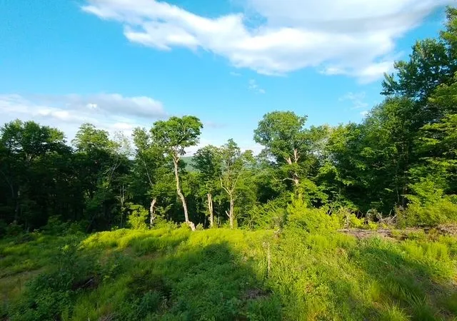 2nd image of 1 Drift Ln, Hyde Park, VT 05655 | MLS# 5093883