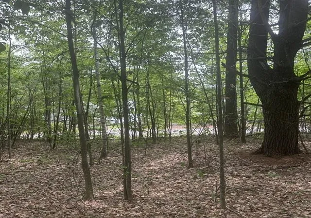 1st image of 441 Lovell Lake Rd, Wakefield, NH 03872 | MLS# 5093897