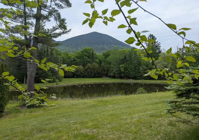 5th image of 196 Dundee Rd, Jackson, NH 03846 | MLS# 5093898