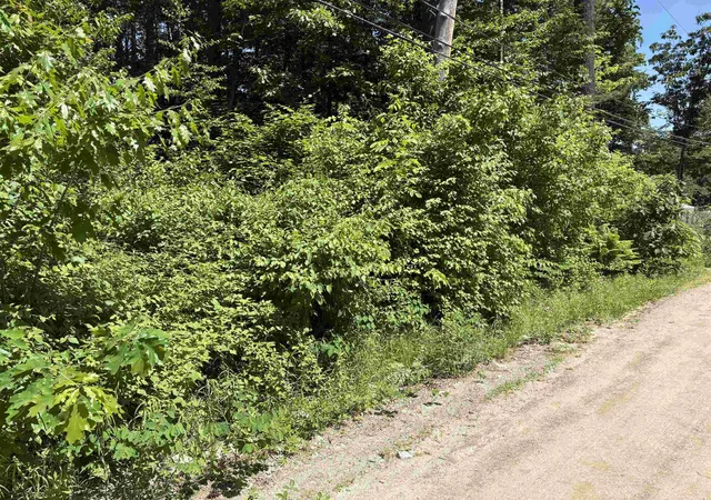 4th image of Lot 608 Rabbit Path, Hillsborough, NH 03244 | MLS# 5093949
