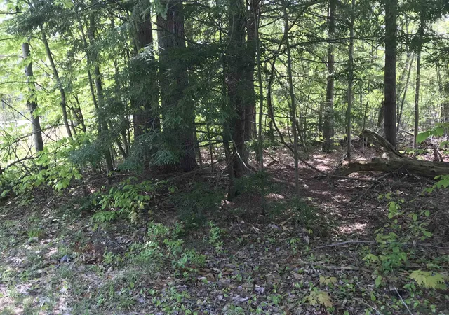 Homes for sale in Stoddard, NH | 420-11 Route 9 Hwy, Stoddard, NH 03464 | MLS# 5093955