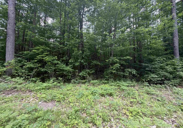 4th image of 00 Rolling Ridge Rd, Bartlett, NH 03812 | MLS# 5093992