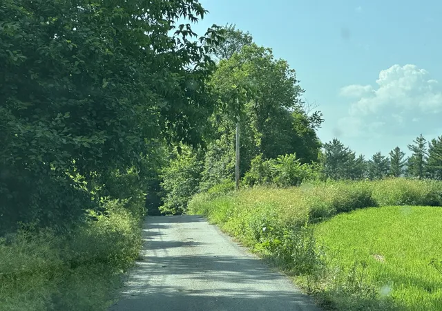 5th image of Banfield Rd, East Montpelier, VT 05651 | MLS# 5094106
