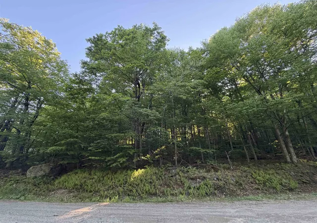 Homes for sale in Wilmington, VT | Scattered Timber Rd, Wilmington, VT 05363 | MLS# 5094122