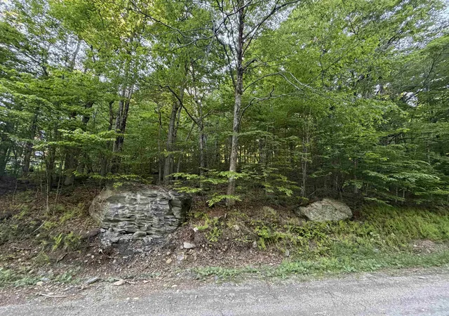 Homes for sale in Wilmington, VT | Scattered Timber Rd, Wilmington, VT 05363 | MLS# 5094122