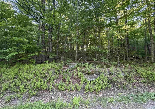 Homes for sale in Wilmington, VT | Scattered Timber Rd, Wilmington, VT 05363 | MLS# 5094122
