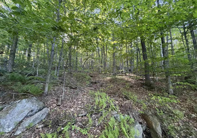 Homes for sale in Wilmington, VT | Scattered Timber Rd, Wilmington, VT 05363 | MLS# 5094122
