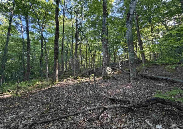Homes for sale in Wilmington, VT | Scattered Timber Rd, Wilmington, VT 05363 | MLS# 5094122