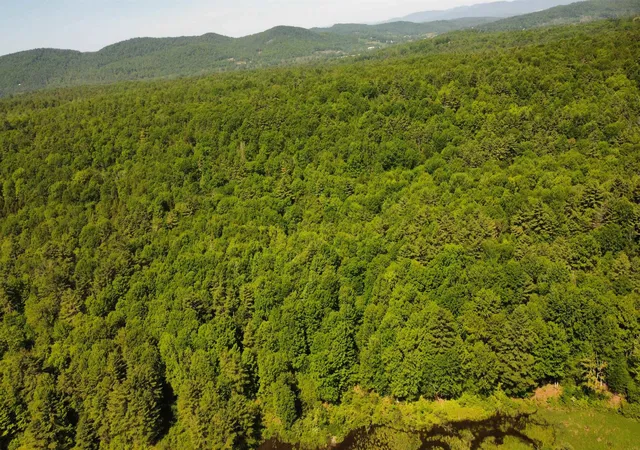 Homes for sale in Wells, VT | 00 Bull Frog Hollow Rd, Wells, VT 05774 | MLS# 5094138