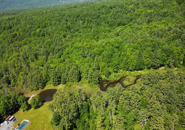 Homes for sale in Wells, VT | 00 Bull Frog Hollow Rd, Wells, VT 05774 | MLS# 5094138