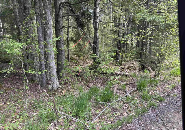 4th image of Baine Rd, Marlow, NH 03456 | MLS# 5094194