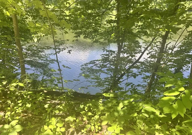 2nd image of 00 Mountain Rd, Chesterfield, NH 03466 | MLS# 5094216