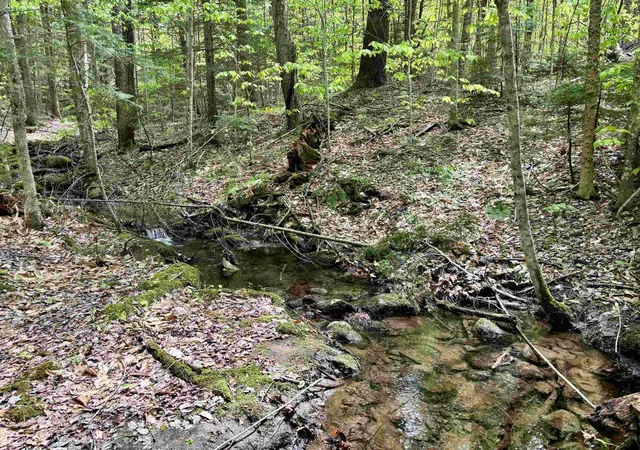 Photo 1 of Land for sale at 00 Snell Rd, Chester, VT 05143 | MLS# 5094246 | Listing updated on 2026-08-17