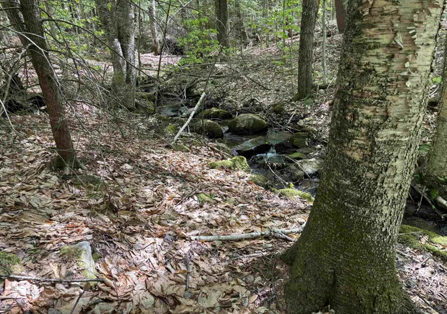Photo 2 of Land for sale at 00 Snell Rd, Chester, VT 05143 | MLS# 5094246 | Listing updated on 2026-08-17