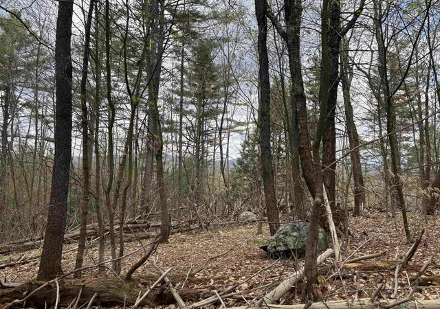 Homes for sale in Chester, VT | 00 Snell Rd, Chester, VT 05143 | MLS# 5094246