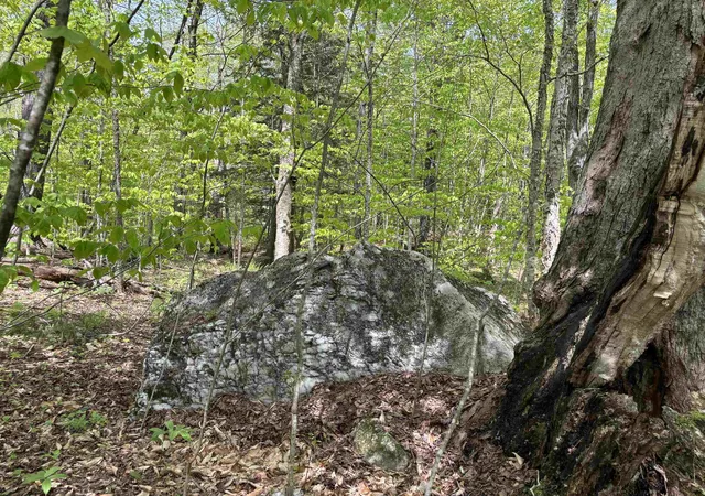 Photo 3 of Land for sale at 00 Snell Rd, Chester, VT 05143 | MLS# 5094246 | Listing updated on 2026-08-17