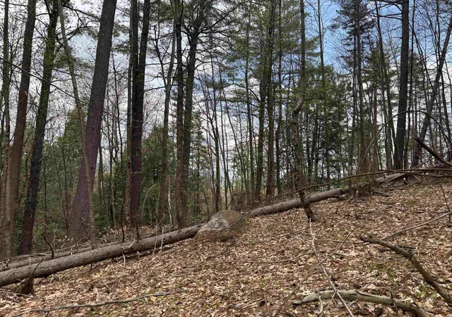 Photo 3 of Land for sale at 00 Snell Rd, Chester, VT 05143 | MLS# 5094246 | Listing updated on 2026-08-17