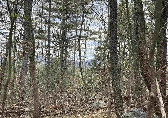 Photo 4 of Land for sale at 00 Snell Rd, Chester, VT 05143 | MLS# 5094246 | Listing updated on 2026-08-17