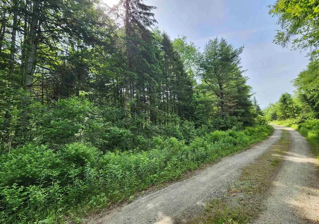 2nd image of 00 Boise Cascade Rd, Dummer, NH 03579 | MLS# 5094270