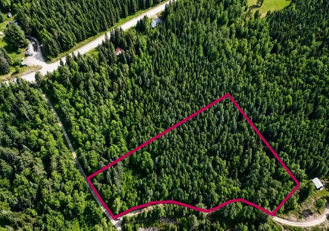 4th image of 00 Boise Cascade Rd, Dummer, NH 03579 | MLS# 5094270