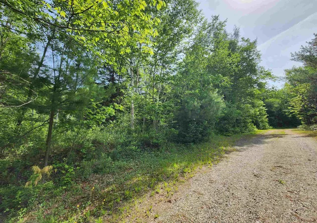 5th image of 00 Boise Cascade Rd, Dummer, NH 03579 | MLS# 5094270