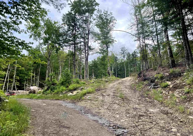 Homes for sale in Sutton, NH | 40 Hominy Pot Rd, Sutton, NH 03221 | MLS# 5094271