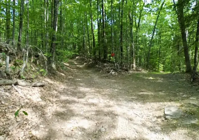 5th image of 000 Center Rd, Lyndeborough, NH 03082 | MLS# 5094376