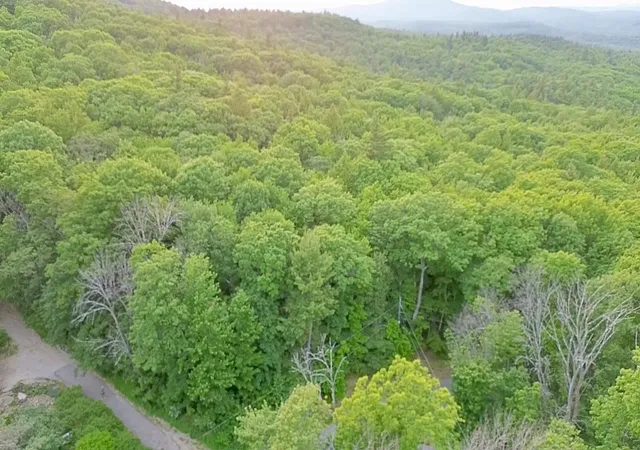 2nd image of 0 Mountain Rd, Lyndeborough, NH 03082 | MLS# 5094380