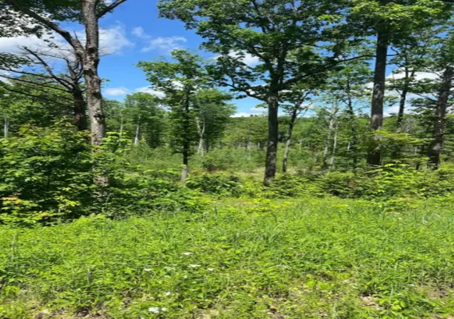 Homes for sale in Canaan, NH | 00 Corno Road And Canaan St, Canaan, NH 03741 | MLS# 5094473