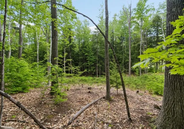 Homes for sale in Canaan, NH | 00 Corno Road And Canaan St, Canaan, NH 03741 | MLS# 5094473