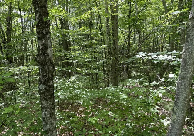 Homes for sale in Dublin, NH | 4 18 3 Old Peterborough Rd, Dublin, NH 03444 | MLS# 5094483