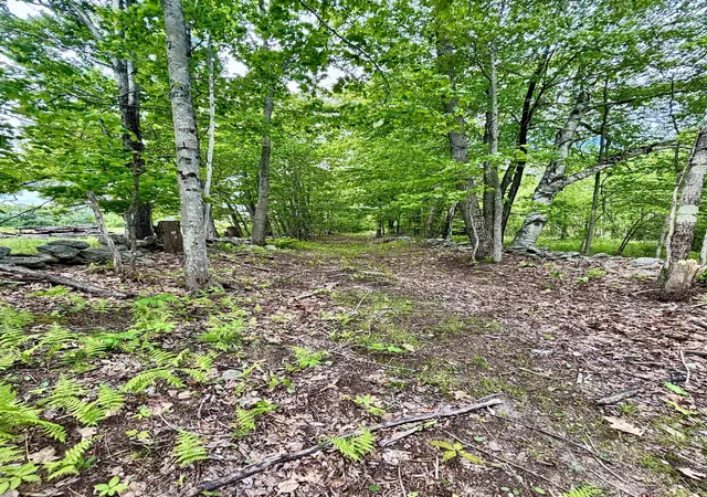 43rd image of 182 Perry Rd, New Ipswich, NH 03071 | MLS# 5094504