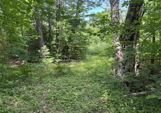Homes for sale in Andover, VT | 00 Simonsville Rd, Andover, VT 05143 | MLS# 5094515