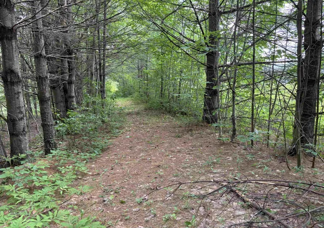 Homes for sale in Andover, VT | 00 Simonsville Rd, Andover, VT 05143 | MLS# 5094515
