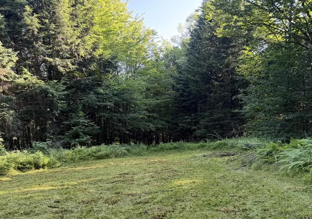 Photo 2 of Land for sale at 0 Roaring Brook Rd, Barton, VT 05822 | MLS# 5094533 | Listing updated on 2026-08-17