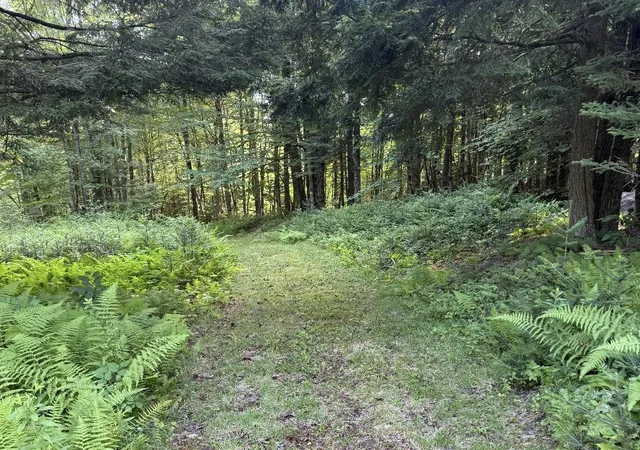 Photo 3 of Land for sale at 0 Roaring Brook Rd, Barton, VT 05822 | MLS# 5094533 | Listing updated on 2026-08-17