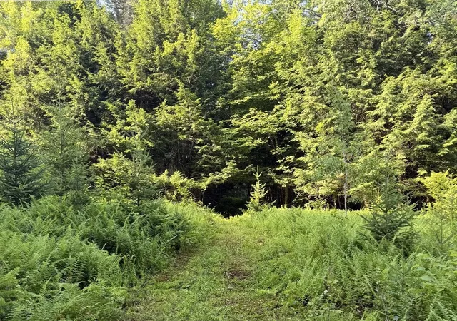Photo 3 of Land for sale at 0 Roaring Brook Rd, Barton, VT 05822 | MLS# 5094533 | Listing updated on 2026-08-17