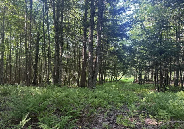 Photo 4 of Land for sale at 0 Roaring Brook Rd, Barton, VT 05822 | MLS# 5094533 | Listing updated on 2026-08-17
